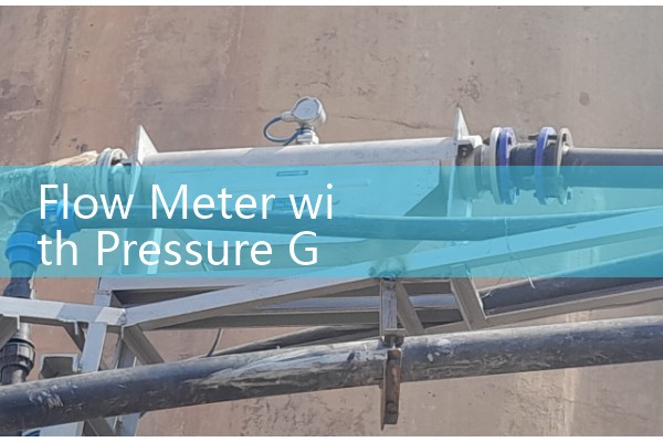 Flow Meter with Pressure Gauge Combos: Dual-Parameter Monitoring Skids for Hydraulic Diagnostics